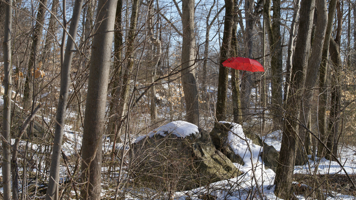 The Red Umbrella floats over some large rocks, in the snow covered woods of north Jersey.