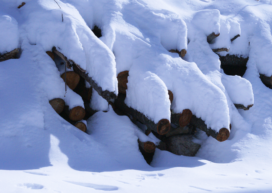 My favorite day of this past winter, February 8th. A fresh foot of snow on the wood pile!